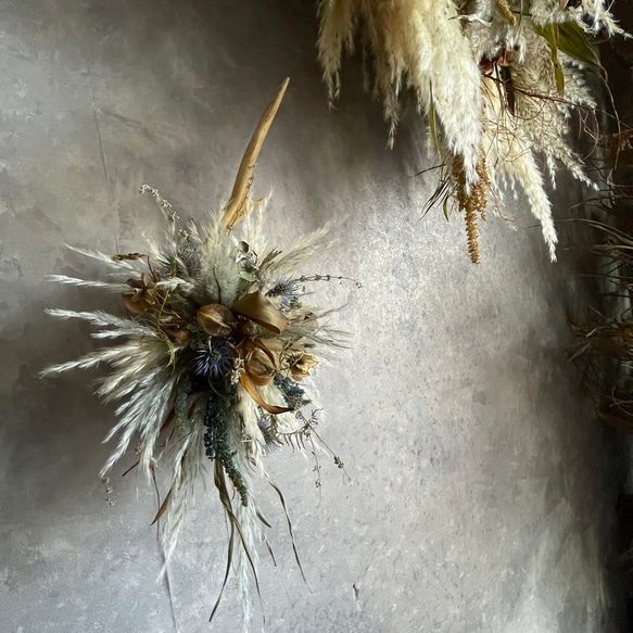 鹿の角とドライフラワーとパンパスグラスの壁掛け＊カッコイイ 3枚目の画像