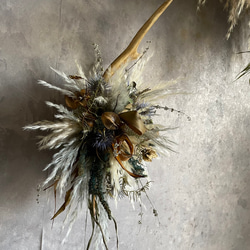 鹿の角とドライフラワーとパンパスグラスの壁掛け＊カッコイイ 4枚目の画像