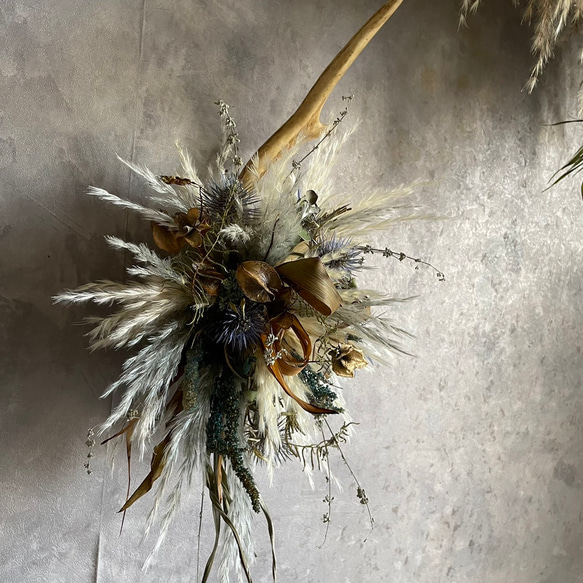 鹿の角とドライフラワーとパンパスグラスの壁掛け＊カッコイイ 4枚目の画像