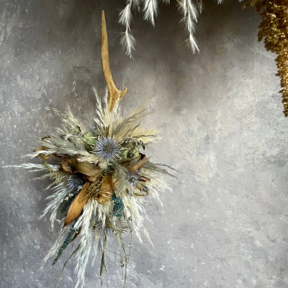 鹿の角とドライフラワーとパンパスグラスの壁掛け＊カッコイイ 2枚目の画像