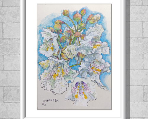 原画：お好きな植物を、博物画風の植物画でお描きします