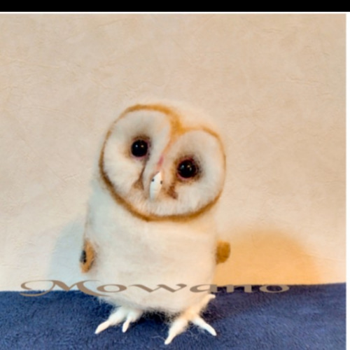 メンフクロウの雛ちゃん☆フクロウ☆羊毛フェルト 羊毛フェルト
