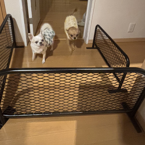 アメリカン風フェンス ペットバリケード オーダー用 パーテーション