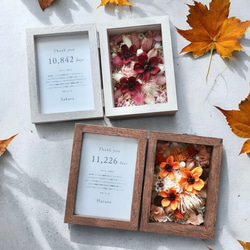 子育て感謝状 両親贈呈品｜コスモスが彩るフォトフレーム（プリザーブド・ドライフラワー／2色展開）結婚式・ウェディング 1枚目の画像