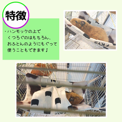 デグーさん向けハンモック【さめ】 おもちゃ・ペット小物 ぱぐ 通販