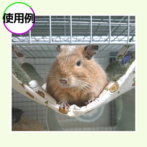 デグーさん向けハンモック【さめ】 おもちゃ・ペット小物 ぱぐ 通販