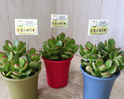 2f0d38e61893fa7c9de228715cd671