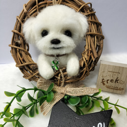 マルチーズ ぬいぐるみ のおすすめ人気通販 検索結果｜Creema(クリーマ