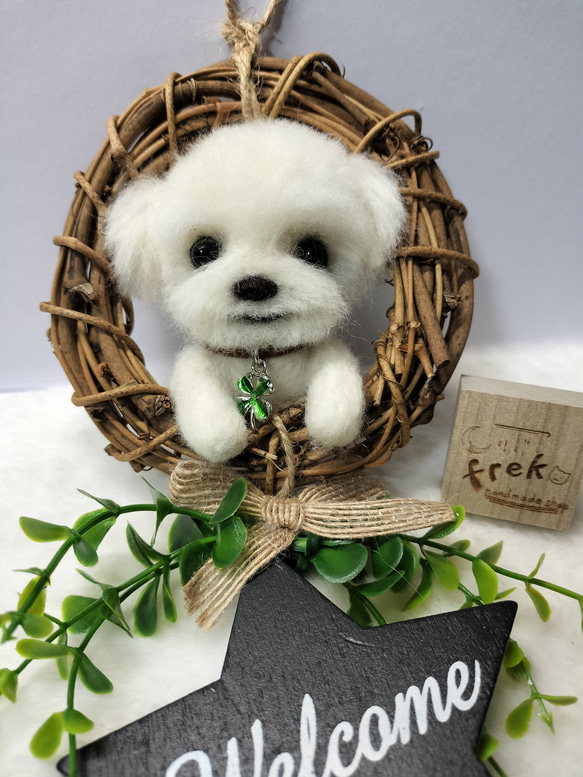 羊毛フェルト  マルチーズ  家族 羊毛フェルト】マルチーズを作ってみた【前編】 - YouTube