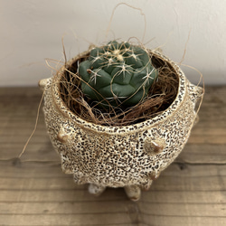 8a54053ce9d8b7a0b6fba758431b7d