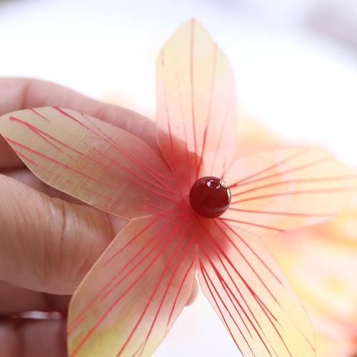 秋＊ほおずき*ピアス／イヤリング （鬼灯、ホオズキ） ピアス（フック