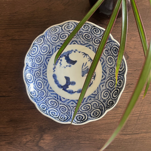 古伊万里 染付蛸唐草膾皿6枚 直径約14.5㎝ 東Y5-