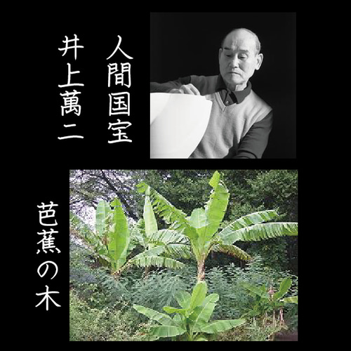 井上萬ニ 白磁染芭蕉彫文 皿 中皿 antique art nozomi 通販 18210346