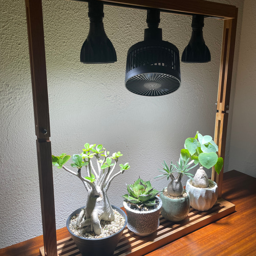 植物育成LEDライトスタンド［ホワイトオーク］ライト2個、回転式 