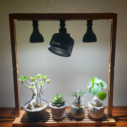 fb1c00722ae54e5b556cd17321cbb0