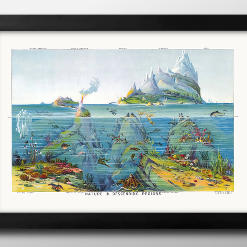 アンティーク　ポスター　絵画 NO.450】インコと紫陽花の日本画絵画アートポスター☆風景牡丹