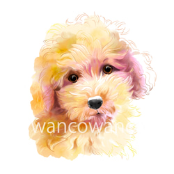 ★ページ　トイプー４似顔絵　背景イメージ参考２枚 ☆ページ トイプー4似顔絵 背景イメージ参考2枚 ☆ページ