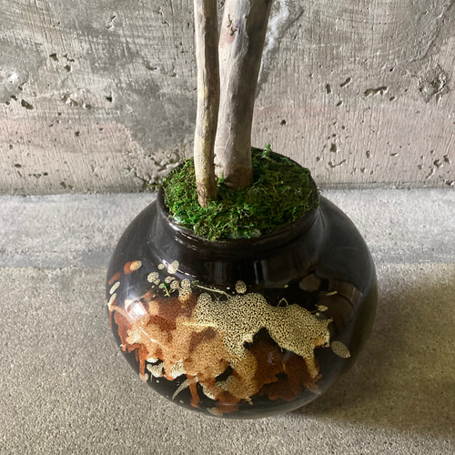 光触媒　人工観葉植物　ウォールグリーン　フェイクグリーン　パキラ11555 光触媒 人工観葉植物 ウォールグリーン フェイクグリーン パキラ