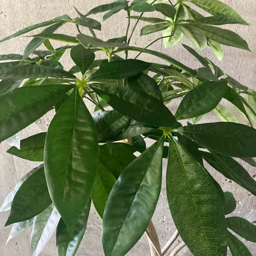 光触媒 人工観葉植物 ウォールグリーン フェイクグリーン パキラ