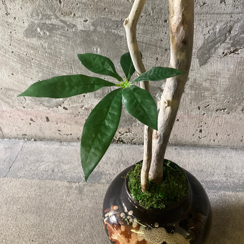 光触媒　人工観葉植物　ウォールグリーン　フェイクグリーン　パキラ11555 光触媒 人工観葉植物 ウォールグリーン フェイクグリーン パキラ