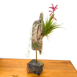 流木スタンドアレンジ フェイクチランジア No1 エアープランツ アート