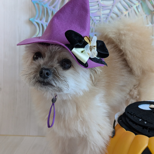 ハロウィン 犬・猫用ハット （M)紫Wリボン とんがり帽子 小型犬