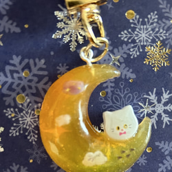 シマエナガ❁⃘*.゜レジンピルケース 雪の結晶 レジンシマエナガピルケースまとめて作ります | TikTok