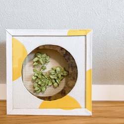 一点もの！】シャドーボックス フェアリー 夏 その他置物 fleurs_art