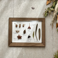 2f211d960e52226ab60b498a421632