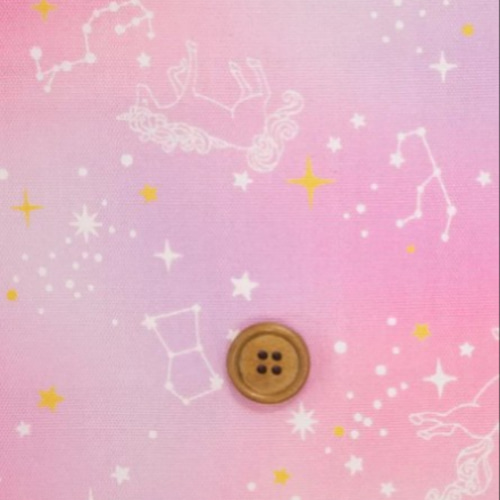 体操服・お着替え袋 ゆめかわ♡ユニコーン&星座 受注生産 体操服袋・お 