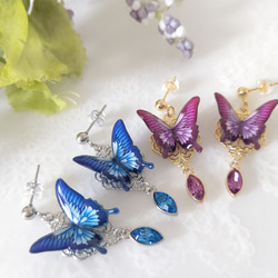 蝶の耳飾り オオルリアゲハ(マゼンタ) オオルリアゲハ(サファイア) 羽ばたく蝶々