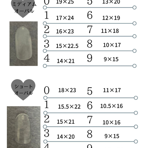 design142】ブラックバタフライネイルチップ ネイルチップ（つけ爪  