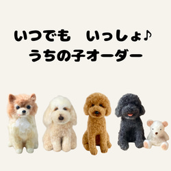 羊毛フェルト オーダー 「リアルで可愛いワンちゃん」 トイ