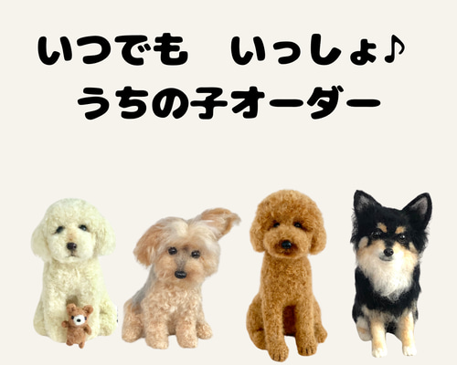 いぬだす ワンちゃんお役立ちガイド 福岡限定/メイツ