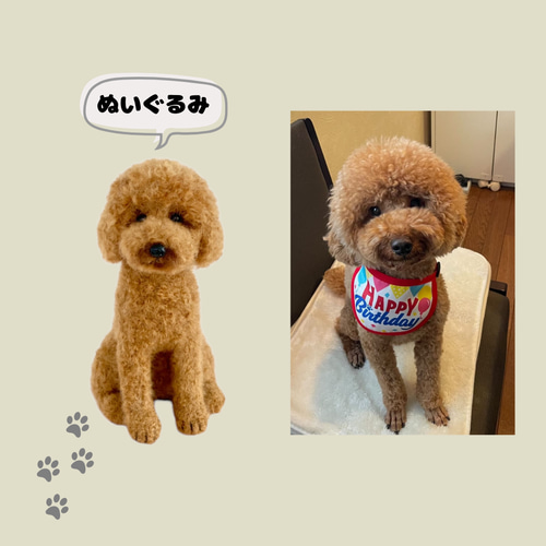 オーダーメイド いつでもいっしょ♪ うちの子わんちゃんぬいぐるみ