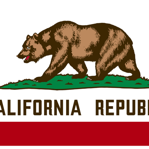 カリフォルニアリパブリック カリフォルニア共和国 熊 壁掛け 照明