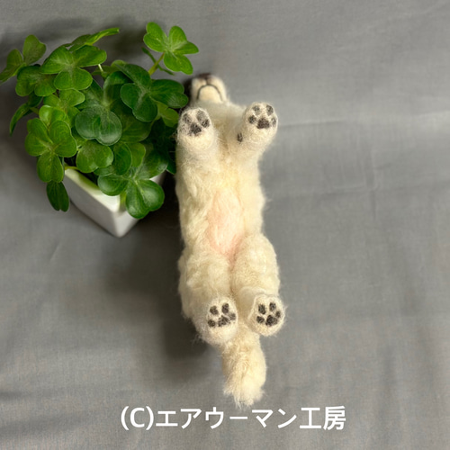 羊毛フェルトイギリス系ゴールデンレトリバー