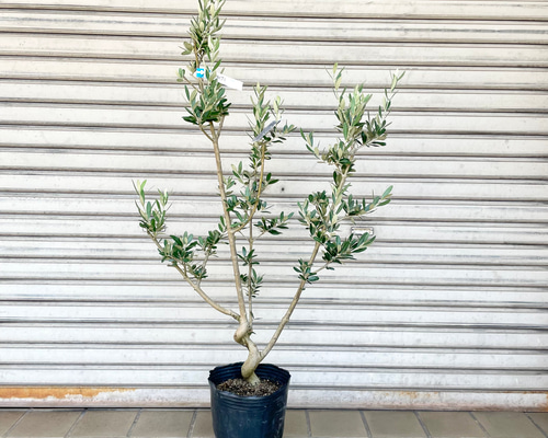 7609749656ac3f34762c8458d971f1