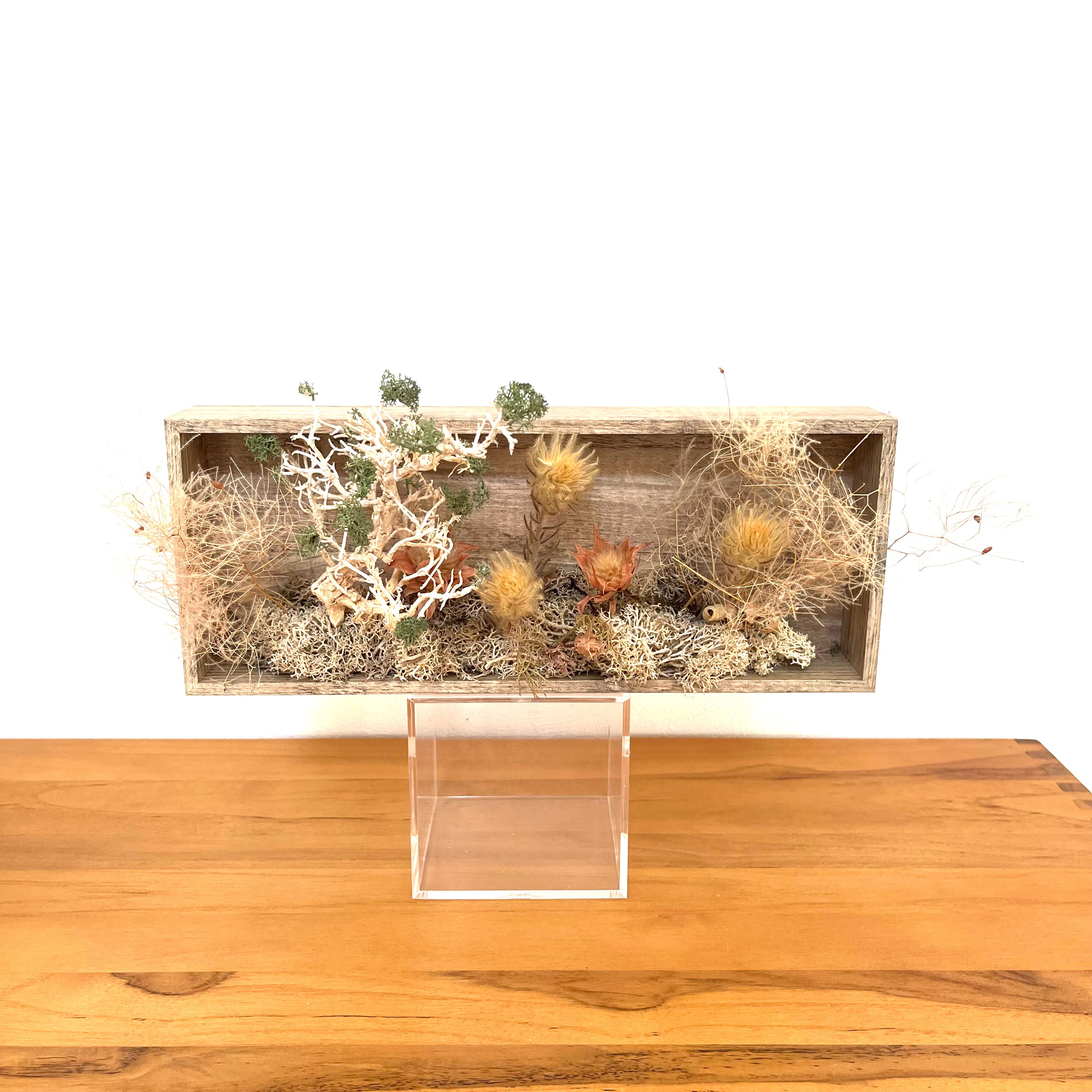 プリザーブドフラワー　フィンランドモス　フレームアレンジ