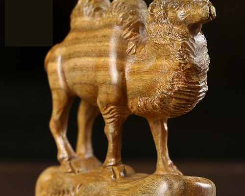 e79c683d54d57cb6d477000c088860