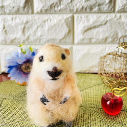 df703c137b761e9d176b78b10f7cdf