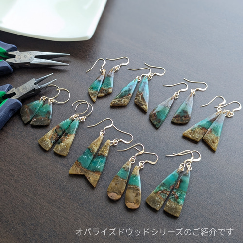 一点限り】【希少石☆深海の風景】ペトリファイド オパライズドウッド 