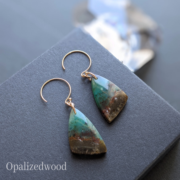 14kgf ペトリファイドウッドオパライズ ピアス