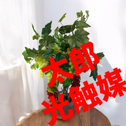 光触媒 人工観葉植物 ウォールグリーン フェイクグリーン シャイン