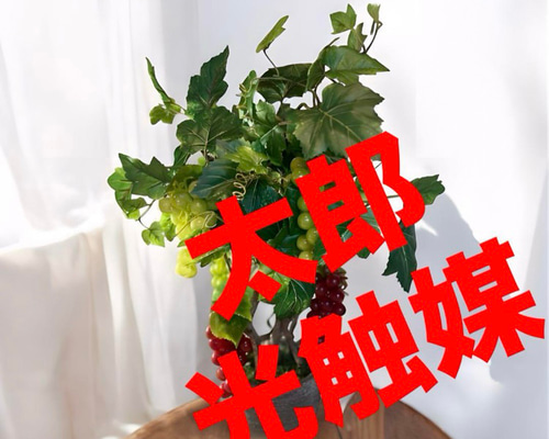 光触媒 人工観葉植物 ウォールグリーン フェイクグリーン