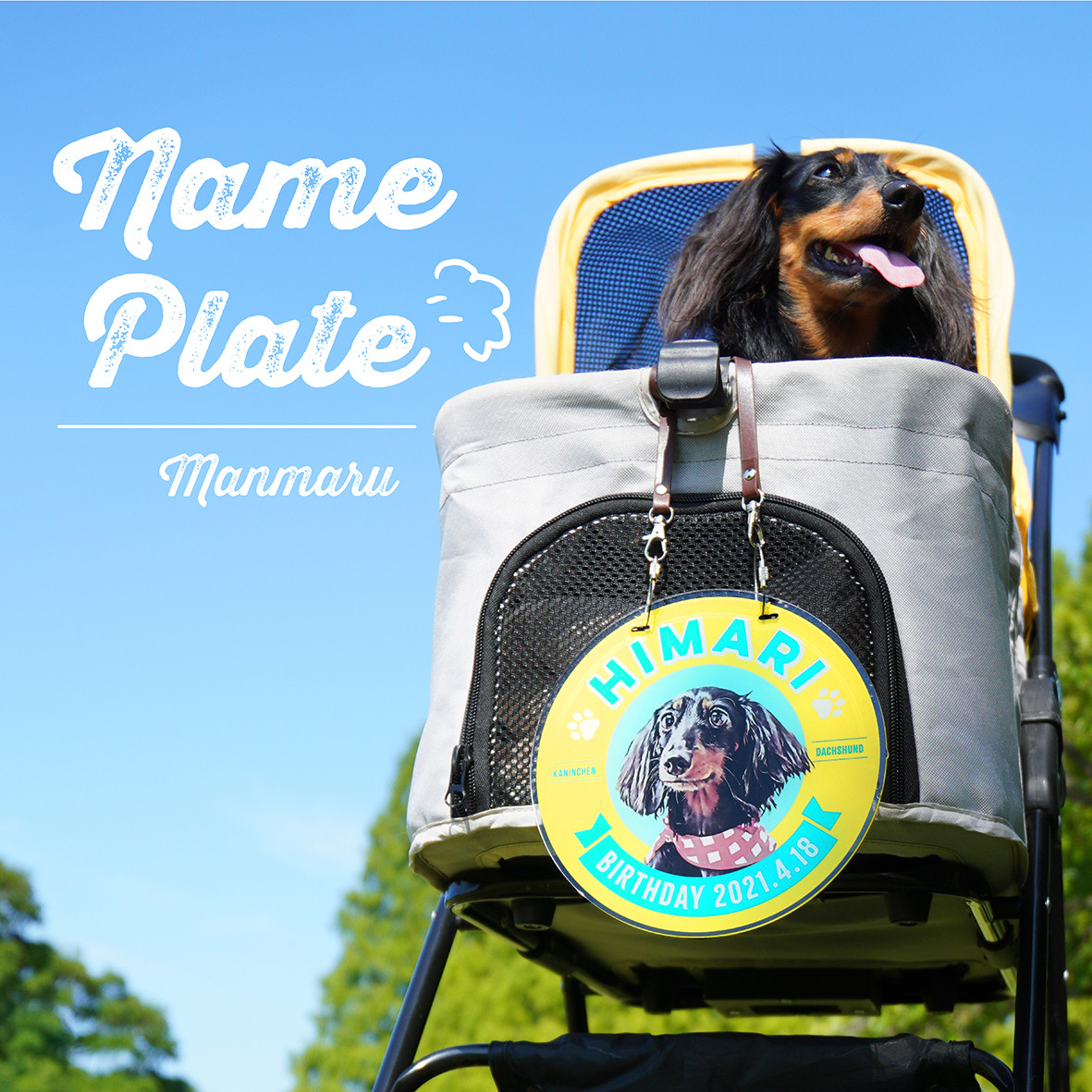 カートネームプレート〈まんまるstyle〉★犬猫 うちの子 ★オーダーメイド ★取付フック付き ★名入れ