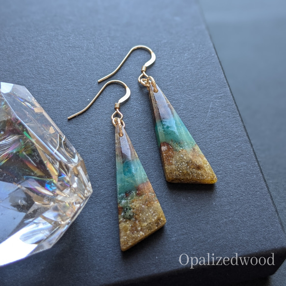 14kgf ペトリファイドウッドオパライズ ピアス