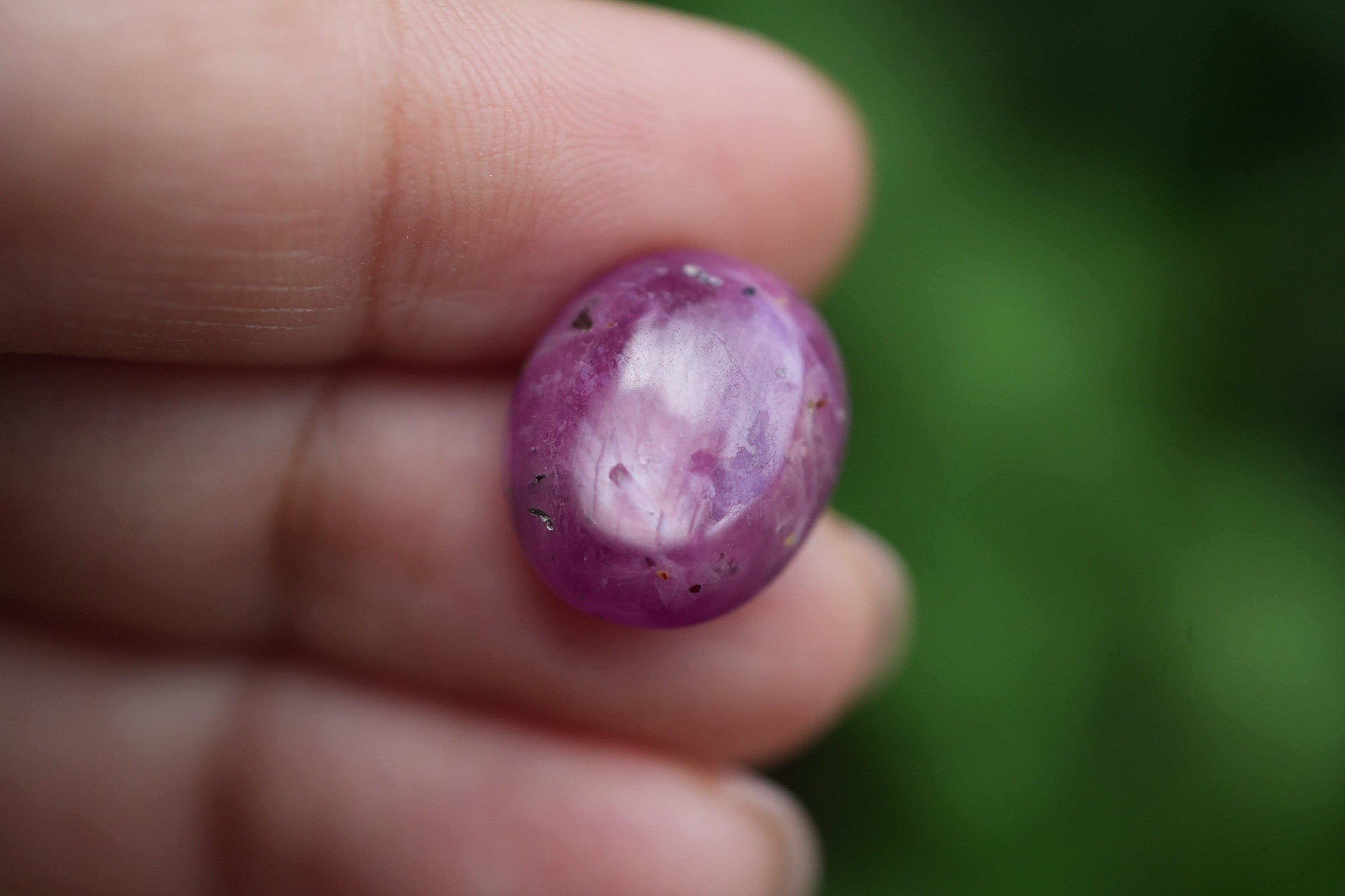 中心にシラー★ルビー カポジョンs1325