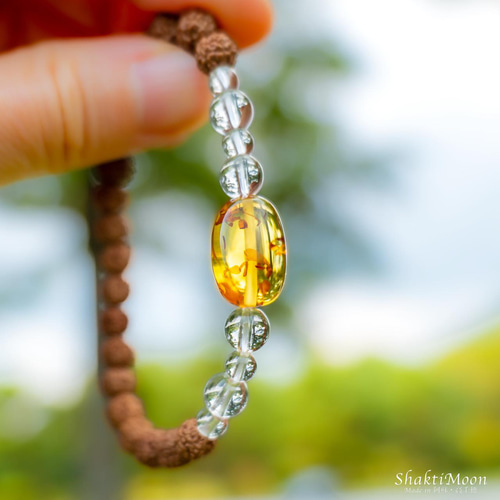 ✰︎‪ 琥珀 ✰ ✰︎　　ルドラクシャブレスレット　トップॐ ✰︎‪ 琥珀 様専用 ルドラクシャブレスレット トップॐ ✰︎‪‬‬