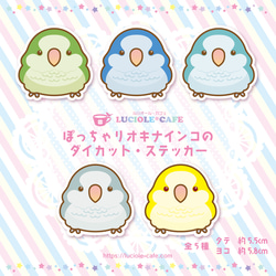 オキナインコ＊耐水ステッカー シール・ステッカー LUCIOLE*CAFE